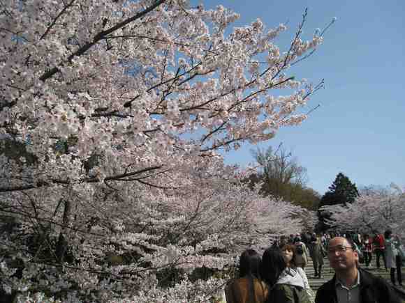 f0233356_16435846.jpg