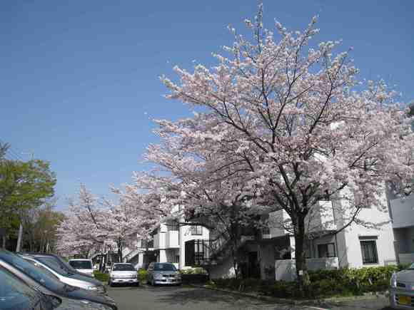 f0233356_1714346.jpg