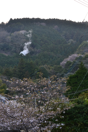 e0184558_832873.jpg