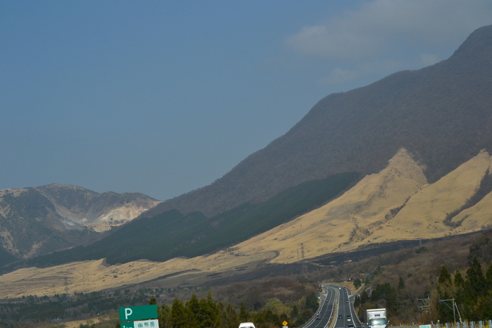 e0184558_8412967.jpg