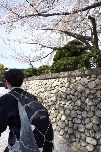 c0153259_2224164.jpg
