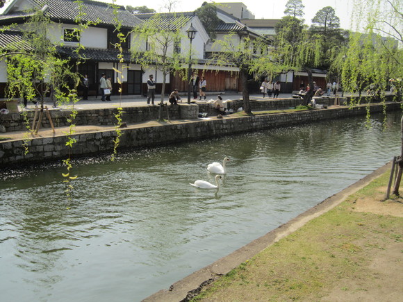 d0055259_2324594.jpg