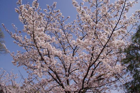 e0213360_2159299.jpg