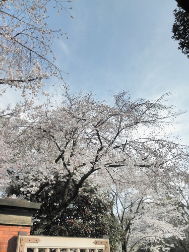 b0145863_1963752.jpg