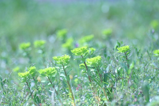 c0186463_094428.jpg
