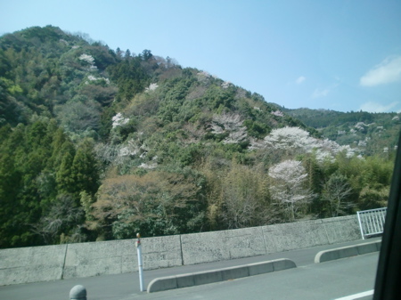 d0105063_212007.jpg