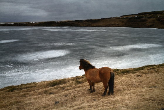 f0134963_722920.jpg