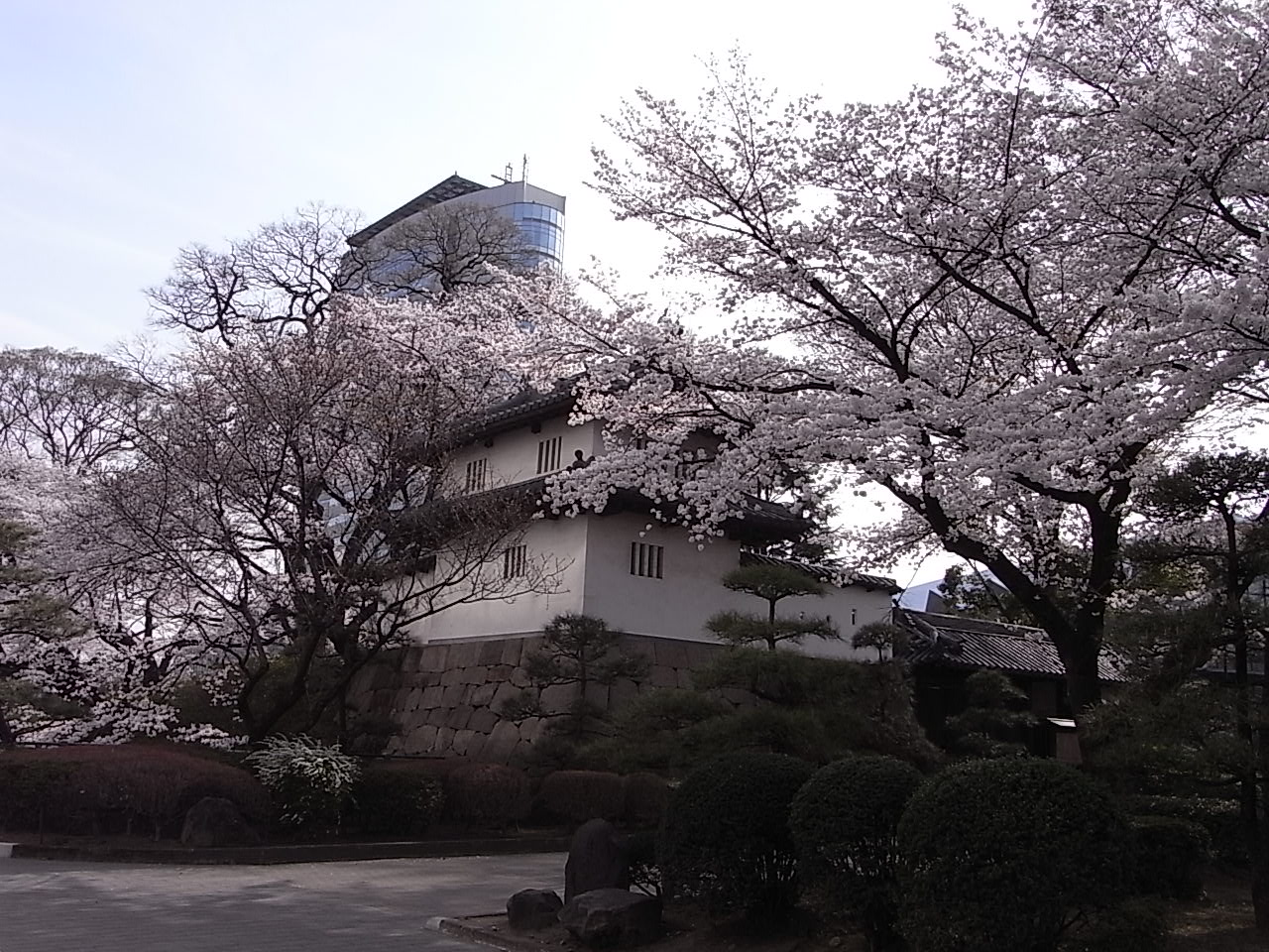d0117565_21201019.jpg