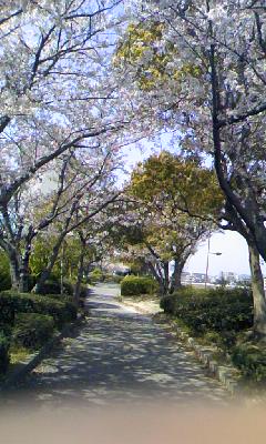 e0150867_11115570.jpg