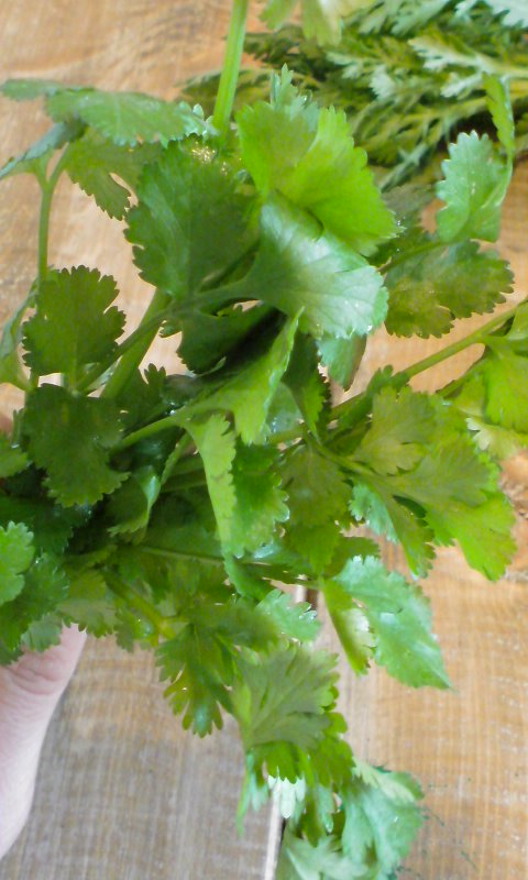 f0220768_1737057.jpg