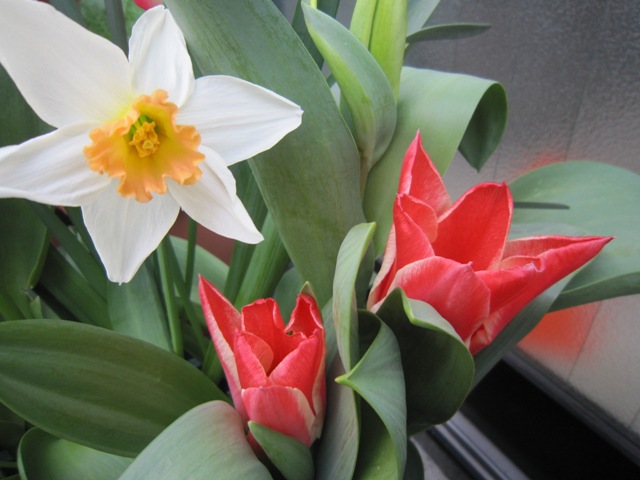 c0202870_9502673.jpg
