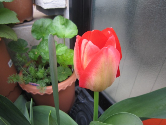 c0202870_952322.jpg