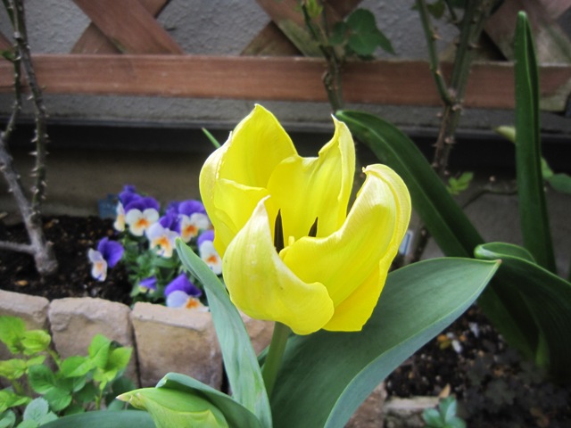 c0202870_9523553.jpg