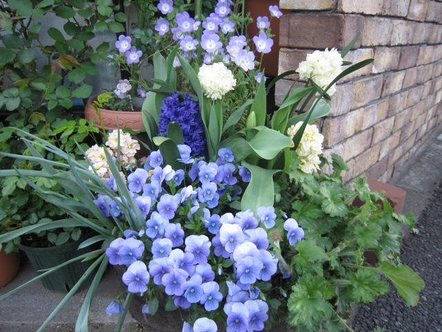 c0202870_9553890.jpg