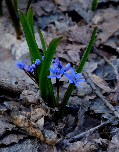 d0084473_2154378.jpg