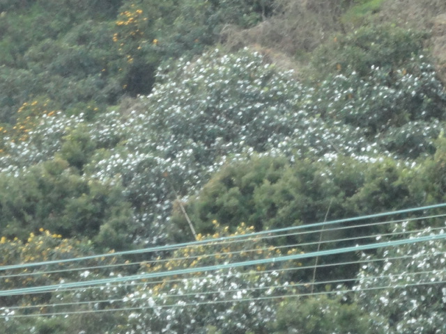 d0109373_015045.jpg
