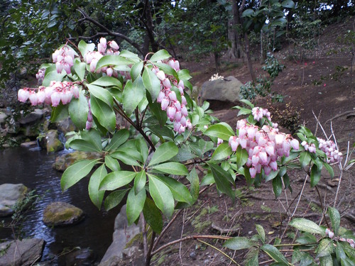 f0117673_025375.jpg