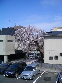 f0229275_16471037.jpg