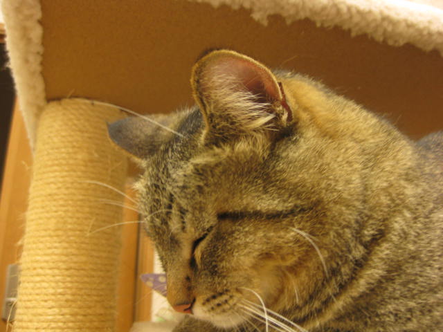 f0054677_3532625.jpg