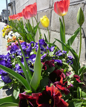 a0007078_15345857.gif