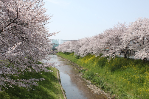 b0206481_21554253.jpg