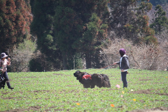 e0162984_1849327.jpg