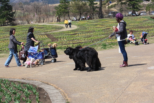 e0162984_18522019.jpg