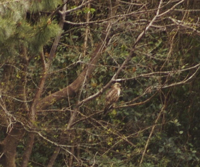 e0197884_2202094.jpg
