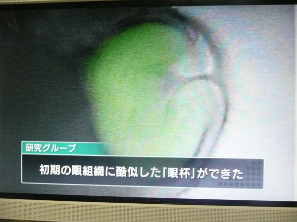 b0118987_9272325.jpg