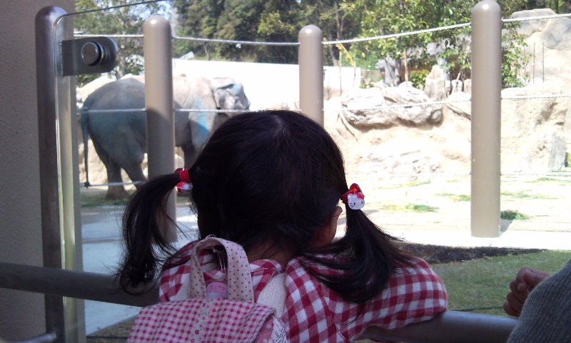 b0214787_6111776.jpg