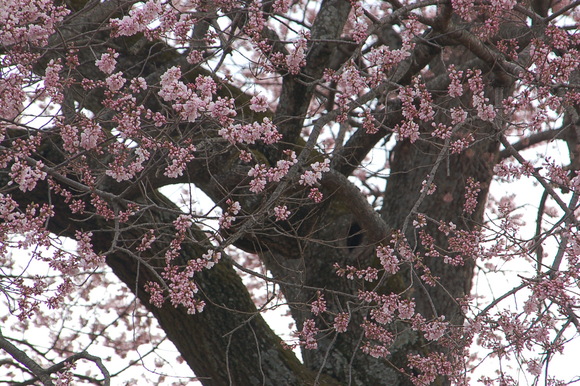 b0203588_184523.jpg