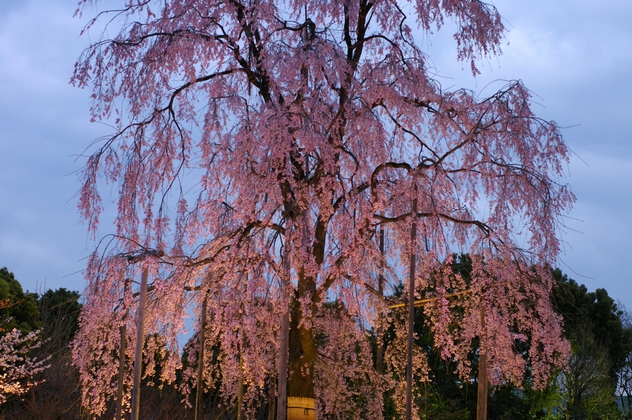 b0080789_9321457.jpg