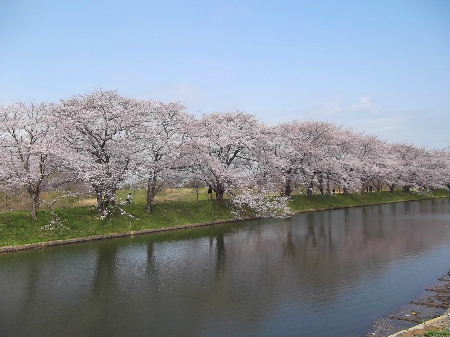 f0235289_13463735.jpg