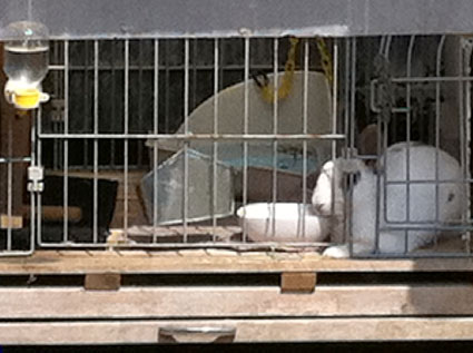 f0201191_0512046.jpg