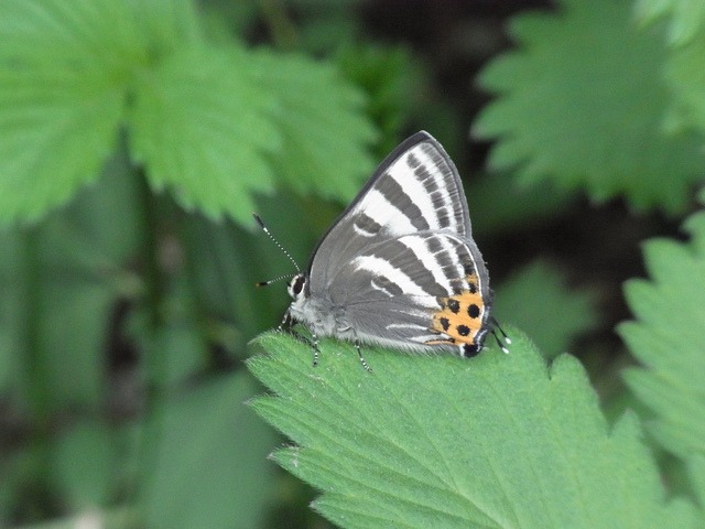 b0194593_22372833.jpg