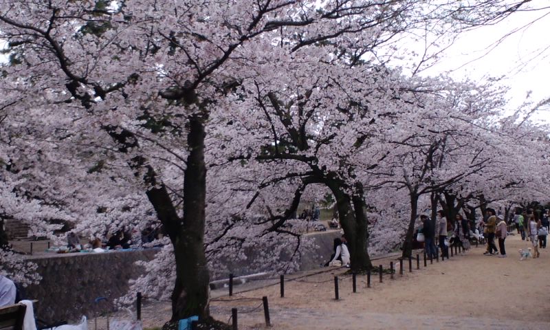 d0155893_1140579.jpg