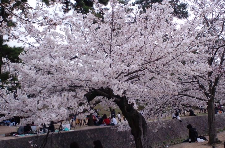 d0155893_1141255.jpg