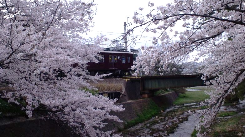 d0155893_11421095.jpg