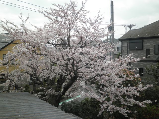 f0130894_21174092.jpg