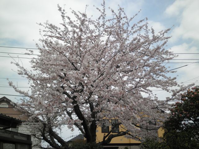 f0130894_21205060.jpg