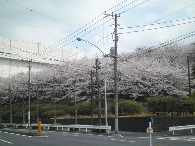 f0130894_21214570.jpg