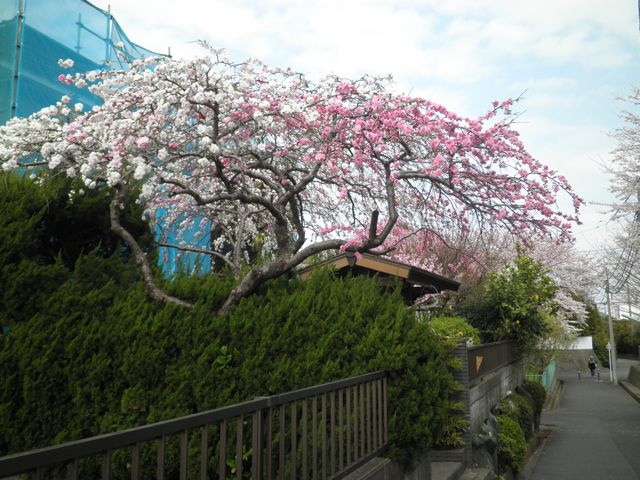 f0130894_2125483.jpg