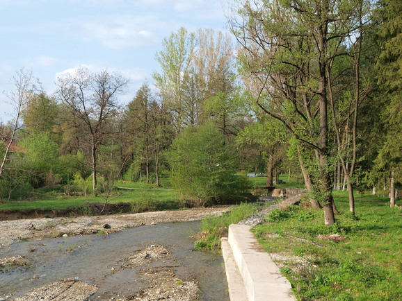 a0159697_1655512.jpg