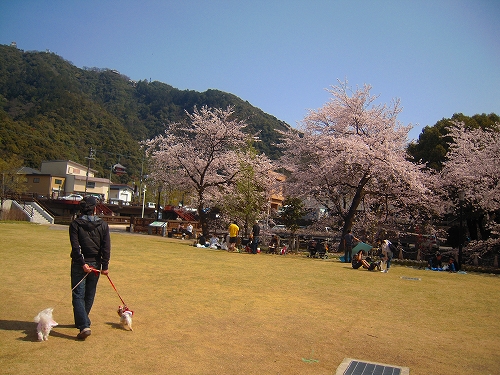 b0211198_19542975.jpg