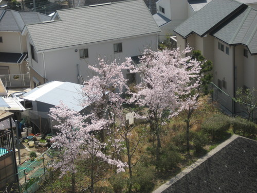 f0013998_16571535.jpg