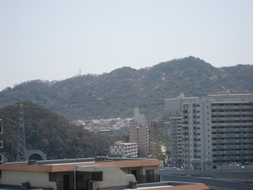 f0013998_16574532.jpg