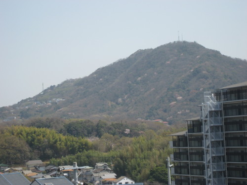 f0013998_16575855.jpg