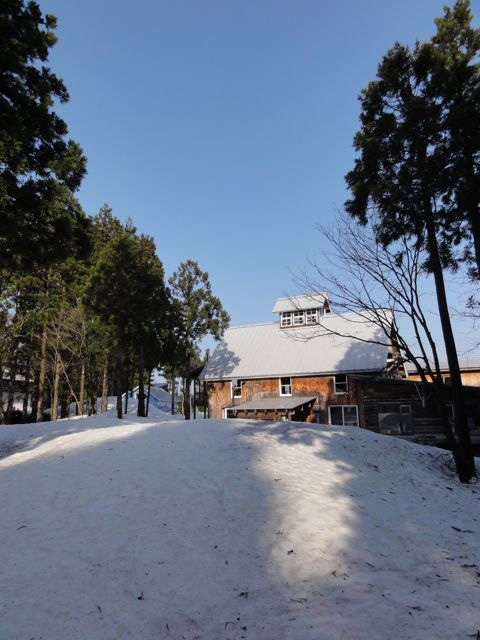 a0061599_7391399.jpg