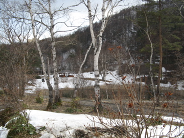 a0117599_233016.jpg