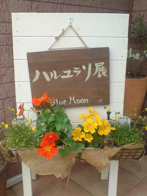 c0128199_19573067.jpg